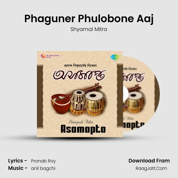 Phaguner Phulobone Aaj MP3 Song by Shyamal Mitra Cover