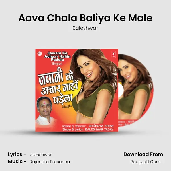 Aava Chala Baliya Ke Male MP3 Song by Baleshwar Cover