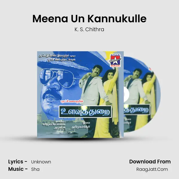 Meena Un Kannukulle MP3 Song by K. S. Chithra Cover