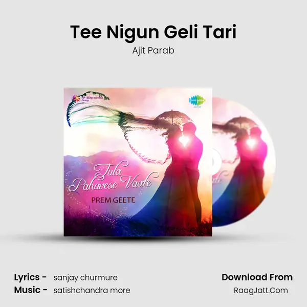 Tee Nigun Geli Tari MP3 Song by Ajit Parab Cover