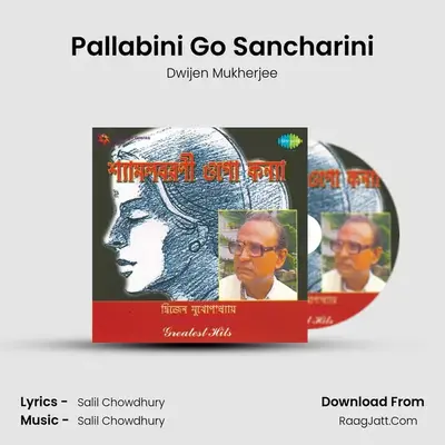 Pallabini Go Sancharini MP3 Song by Dwijen Mukherjee Cover