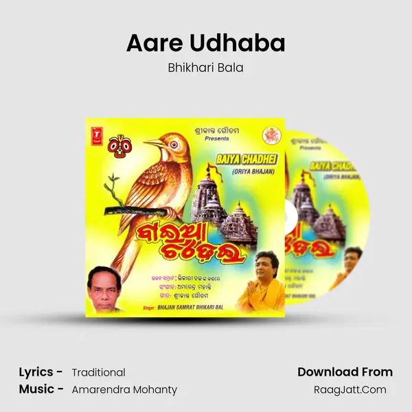 Aare Udhaba MP3 Song by Bhikhari Bala Cover