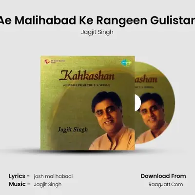 Ae Malihabad Ke Rangeen Gulistan MP3 Song by Jagjit Singh Cover
