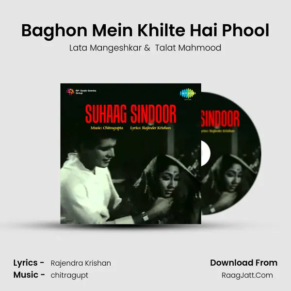 Baghon Mein Khilte Hai Phool MP3 Song by Lata Mangeshkar Cover