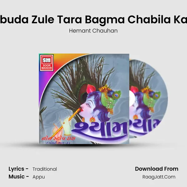 Libuda Zule Tara Bagma Chabila Kan MP3 Song by Hemant Chauhan Cover