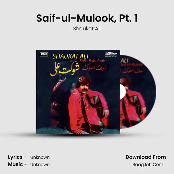 Saif-ul-Mulook, Pt. 1 MP3 Song by Shaukat Ali Cover