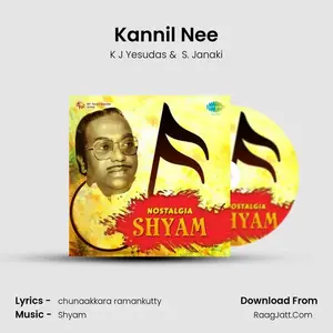 Kannil Nee Cover