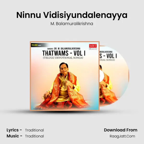Ninnu Vidisiyundalenayya MP3 Song by M. Balamuralikrishna Cover
