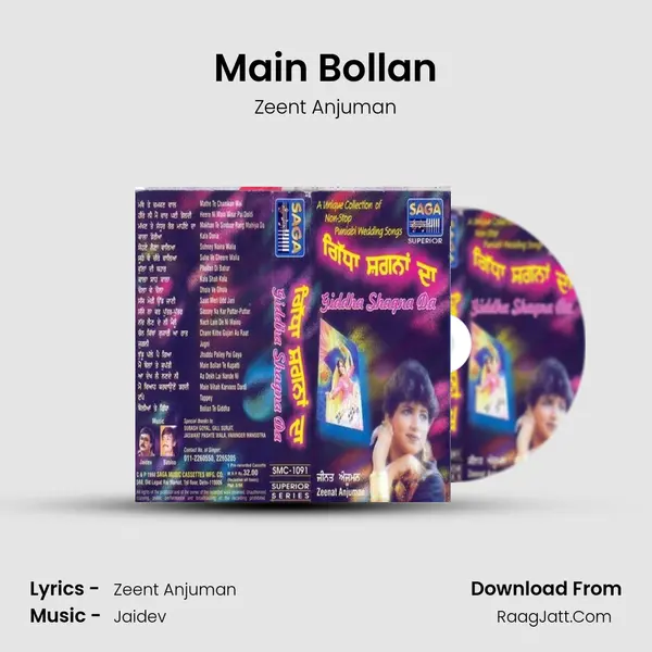 Main Bollan MP3 Song by Zeent Anjuman Cover