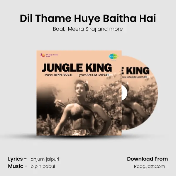 Dil Thame Huye Baitha Hai mp3 song