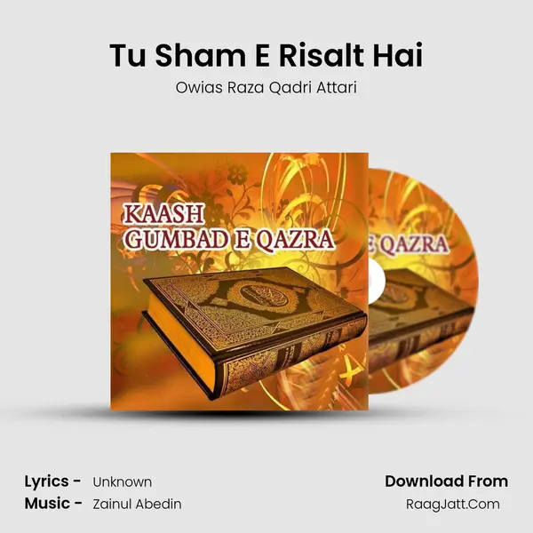 Tu Sham E Risalt Hai MP3 Song by Owias Raza Qadri Attari Cover
