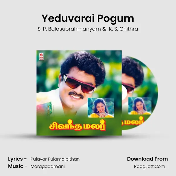 Yeduvarai Pogum MP3 Song by S. P. Balasubrahmanyam Cover