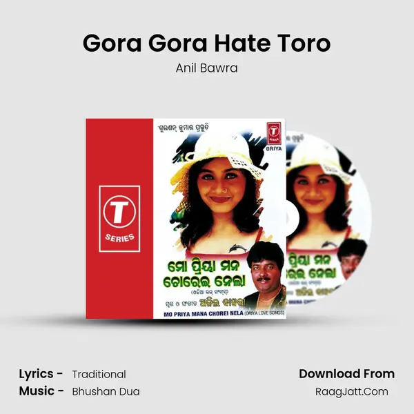 Gora Gora Hate Toro MP3 Song by Anil Bawra Cover
