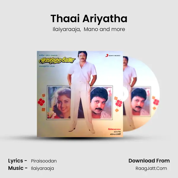 Thaai Ariyatha MP3 Song by Ilaiyaraaja Cover