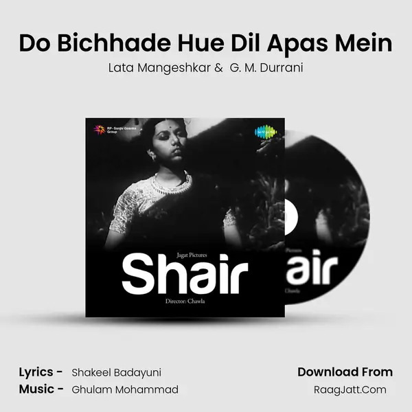 Do Bichhade Hue Dil Apas Mein MP3 Song by Lata Mangeshkar Cover