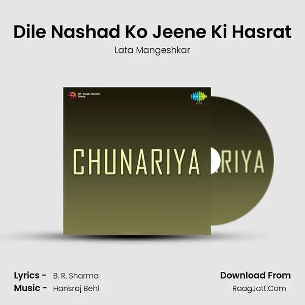 Dile Nashad Ko Jeene Ki Hasrat MP3 Song by Lata Mangeshkar Cover