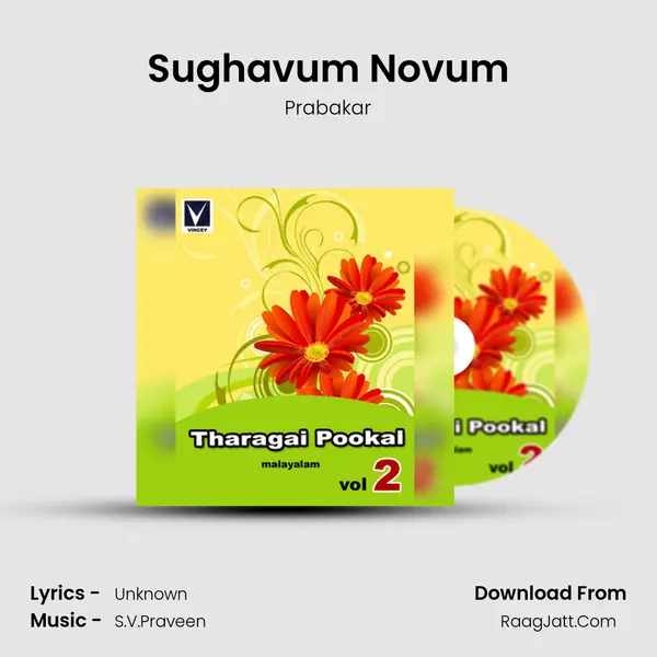 Sughavum Novum MP3 Song by Prabakar Cover