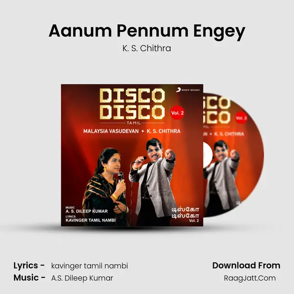 Aanum Pennum Engey MP3 Song by K. S. Chithra Cover