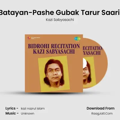 Batayan-Pashe Gubak Tarur Saari (Recitation) MP3 Song by Kazi Sabyasachi Cover