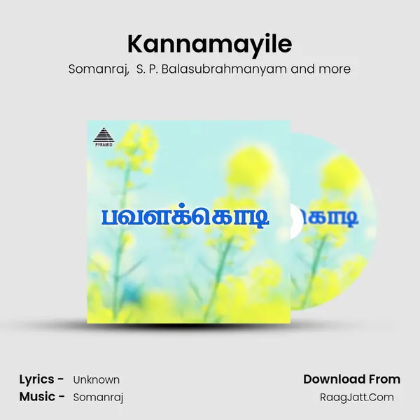 Kannamayile MP3 Song by Somanraj Cover