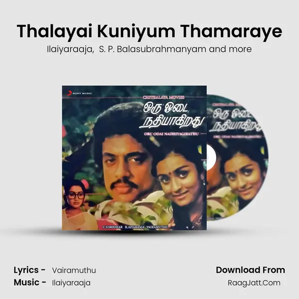 Thalayai Kuniyum Thamaraye MP3 Song by Ilaiyaraaja Cover