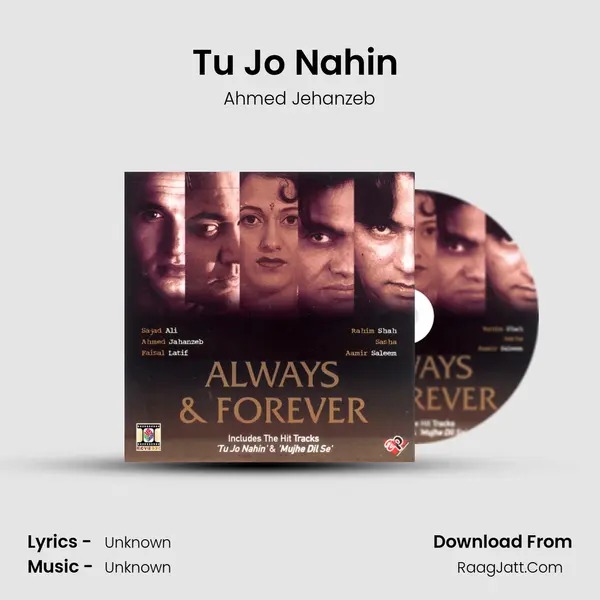 Tu Jo Nahin (Remix) MP3 Song by Ahmed Jehanzeb Cover