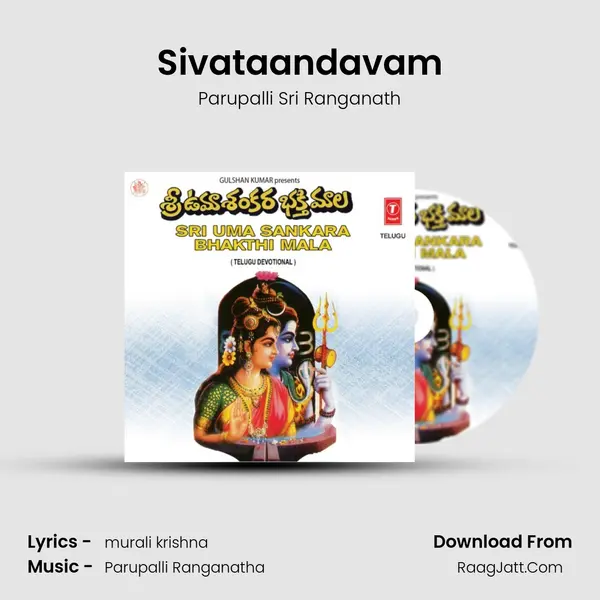 Sivataandavam MP3 Song by Parupalli Sri Ranganath Cover