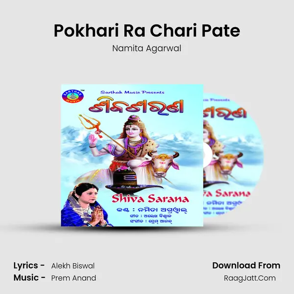 Pokhari Ra Chari Pate MP3 Song by Namita Agarwal Cover
