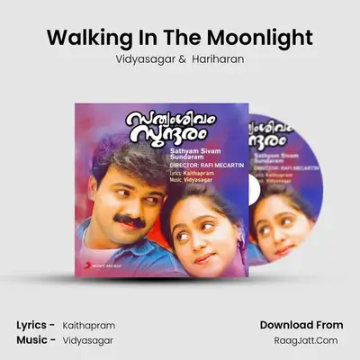 Walking In The Moonlight MP3 Song by Vidyasagar Cover
