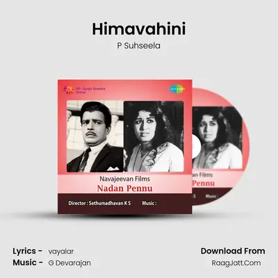 Himavahini MP3 Song by P Suhseela Cover