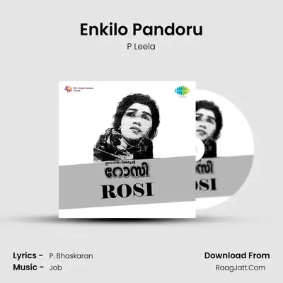 Enkilo Pandoru MP3 Song by P Leela Cover