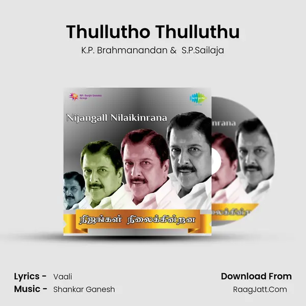 Thullutho Thulluthu MP3 Song by K.P. Brahmanandan Cover