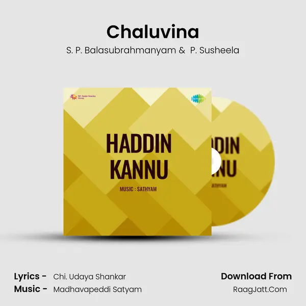 Chaluvina MP3 Song by S. P. Balasubrahmanyam Cover