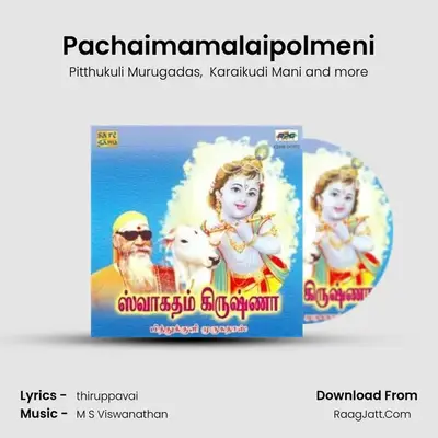 Pachaimamalaipolmeni MP3 Song by Pitthukuli Murugadas Cover