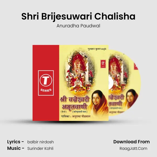 Shri Brijesuwari Chalisha MP3 Song by Anuradha Paudwal Cover