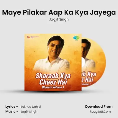 Maye Pilakar Aap Ka Kya Jayega MP3 Song by Jagjit Singh Cover