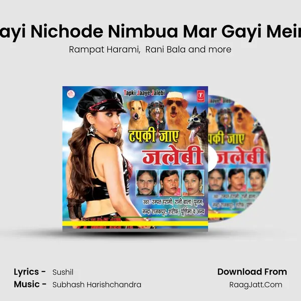Jaise Kayi Nichode Nimbua Mar Gayi Mein Daiya MP3 Song by Rampat Harami Cover