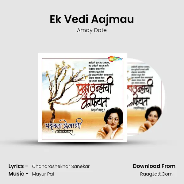 Ek Vedi Aajmau MP3 Song by Amay Date Cover