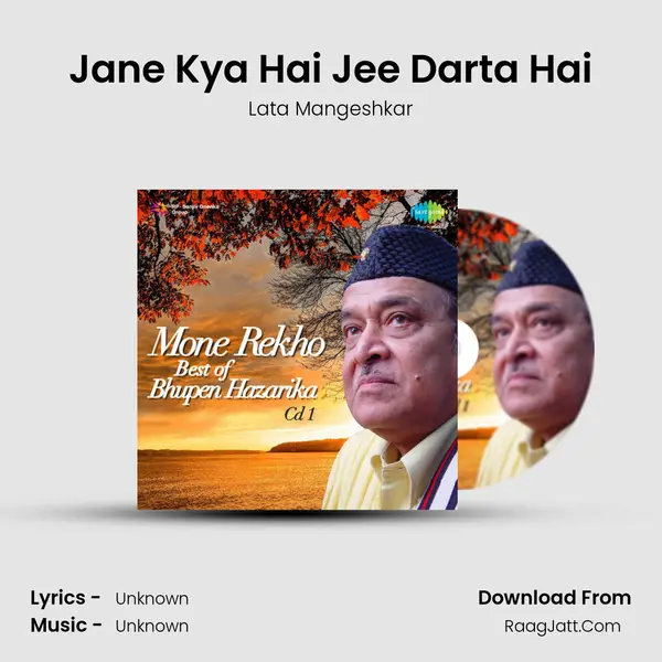Jane Kya Hai Jee Darta Hai Cover