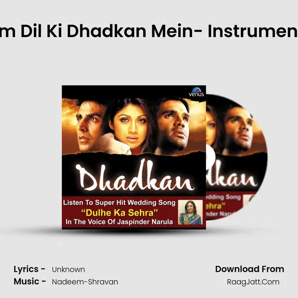 Tum Dil Ki Dhadkan Mein- Instrumental MP3 Song by  Cover