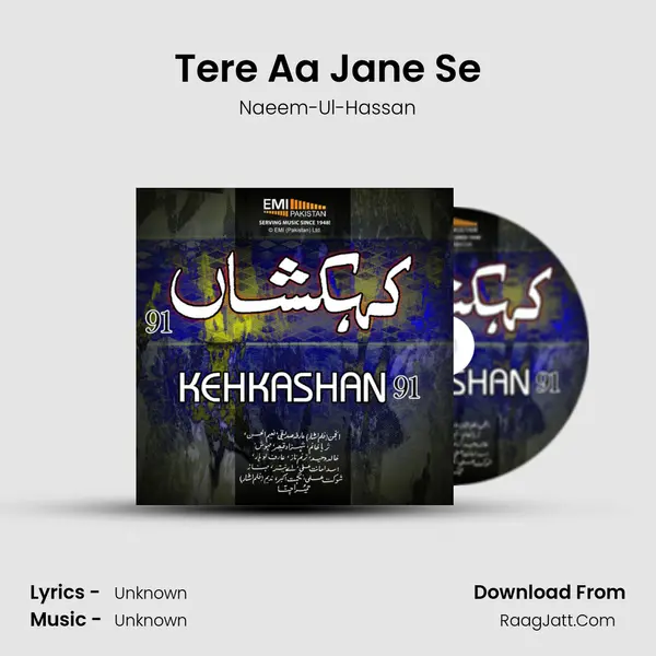 Tere Aa Jane Se MP3 Song by Naeem-Ul-Hassan Cover