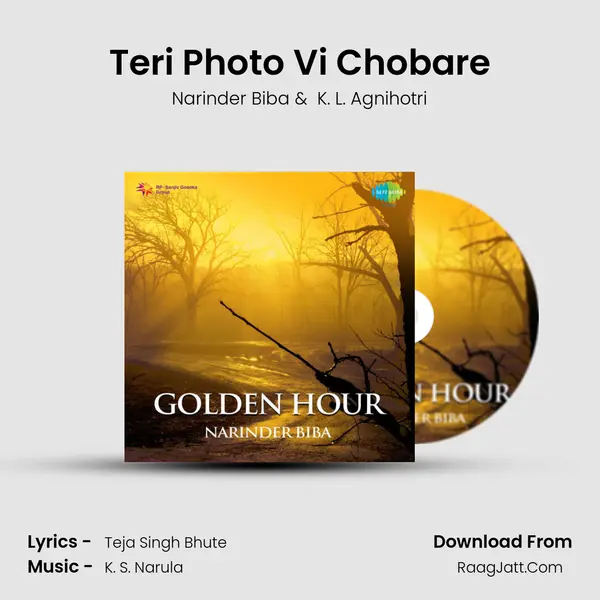 Teri Photo Vi Chobare Cover