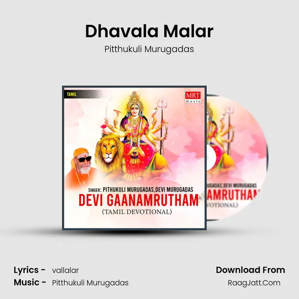 Dhavala Malar MP3 Song by Pitthukuli Murugadas Cover