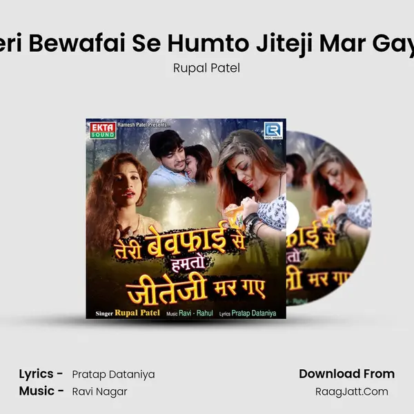 Teri Bewafai Se Humto Jiteji Mar Gaye mp3 song