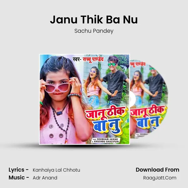 Janu Thik Ba Nu MP3 Song by Sachu Pandey Cover