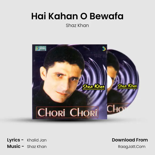 Hai Kahan O Bewafa mp3 song