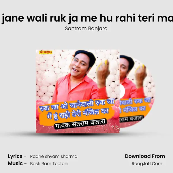 Ruk ja jane wali ruk ja me hu rahi teri manjil ka Cover