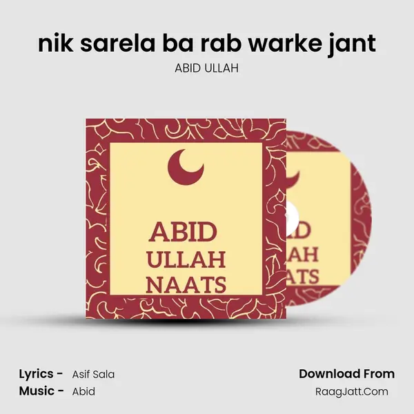nik sarela ba rab warke jant MP3 Song by ABID ULLAH Cover