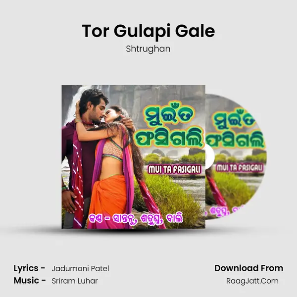 Tor Gulapi Gale MP3 Song by Shtrughan Cover
