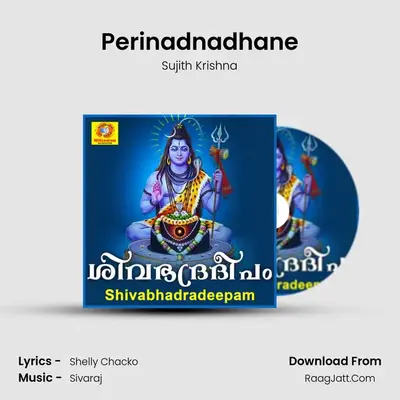 Perinadnadhane MP3 Song by Sujith Krishna Cover